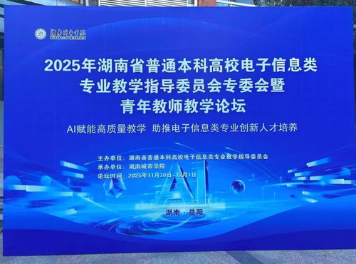 聚智同行，共促成長 小眼睛科技受邀亮相2025湖南省電子信息學術年會